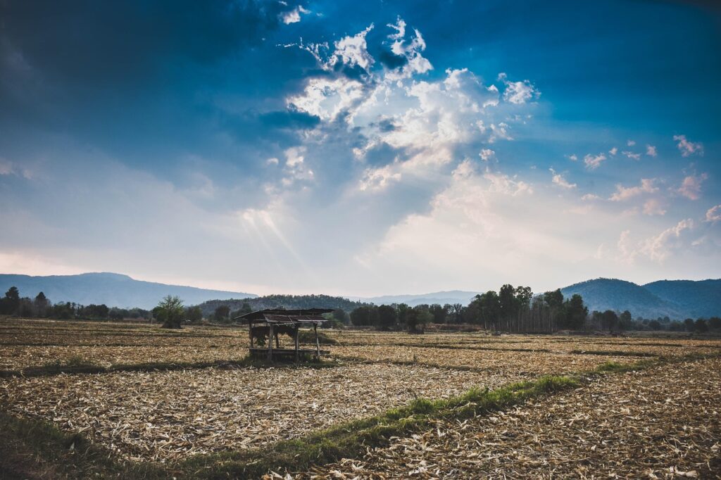 不倫で寂しい気持ちを抱えた時の相談先はどこ？