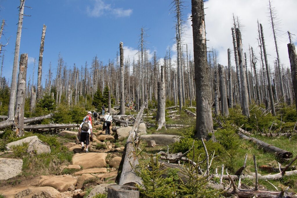 不倫のつらい気持ちを和らげる方法は？
