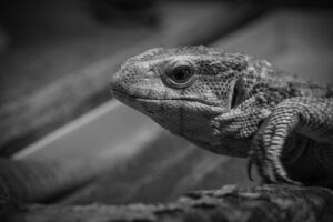 不倫の証拠を簡単に残せる記録アプリはどれが最適？