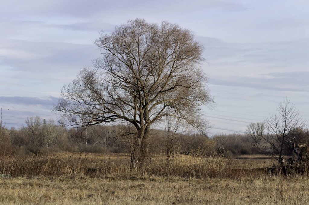 寂しい気持ちを抱えるあなたに知ってほしい不倫の真実とは？