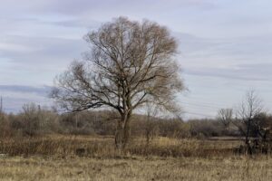 寂しい気持ちを抱えるあなたに知ってほしい不倫の真実とは？