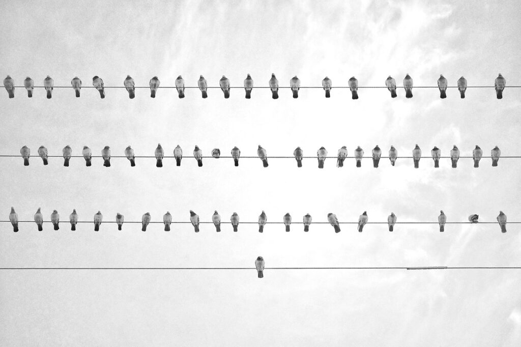 不倫相手のストーカー状況にどう対処すれば良いのか？