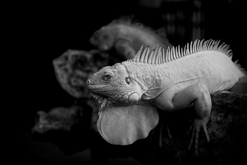 不倫問題解決のためのコーチング方法とは？