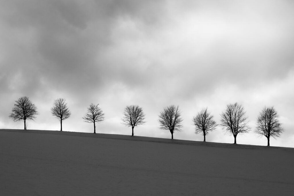 不倫相談の初回無料サービスを利用するメリットは？