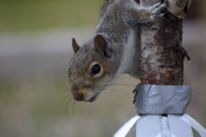 不倫による罪悪感を解消するためのカウンセリングはどのように受けるべきか？