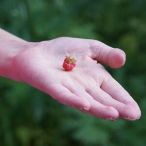 不倫に悩むあなたにおすすめのカウンセリング方法は？