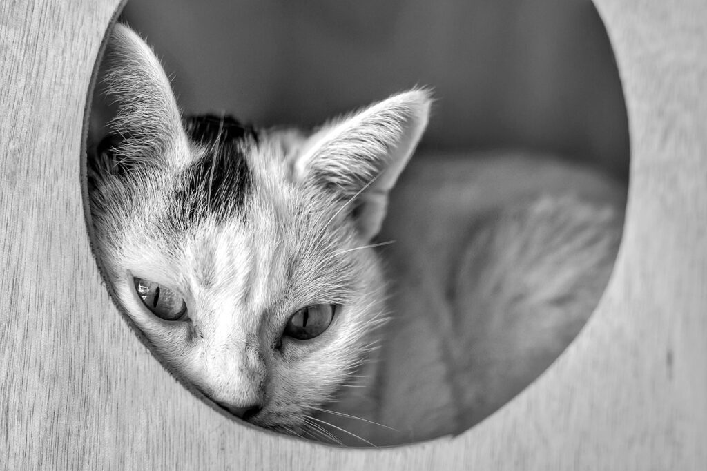 W不倫から抜け出すための効果的な方法は？