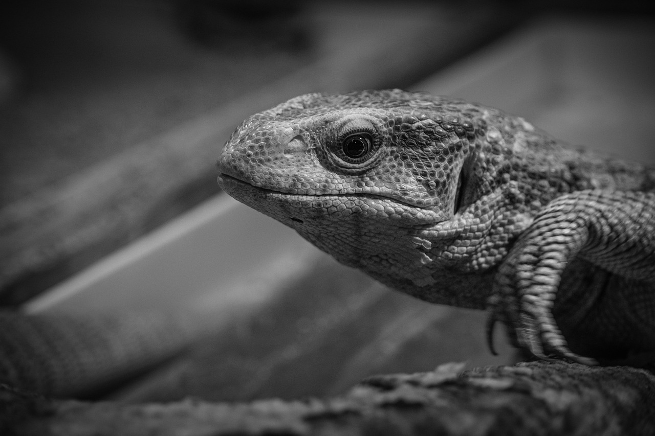 不倫が辛いと感じる時、どうやってやめたいと思えばいいの？