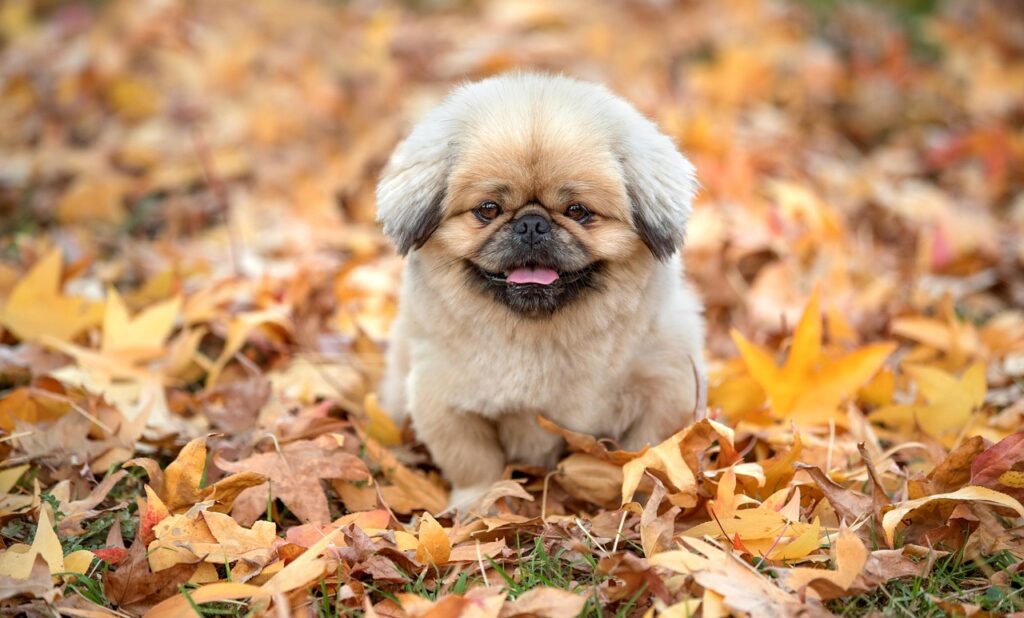 不倫の別れがつらい時に試すべき心のケア方法は？