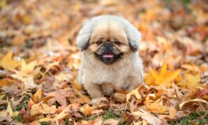 不倫の別れがつらい時に試すべき心のケア方法は？