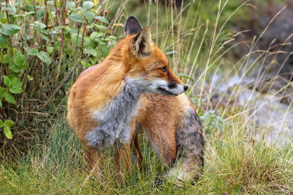 不倫をやめたいけれど断ち切れない理由とは？