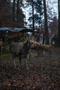 不倫をしているけど大切にされたいと感じるのは無理なの？