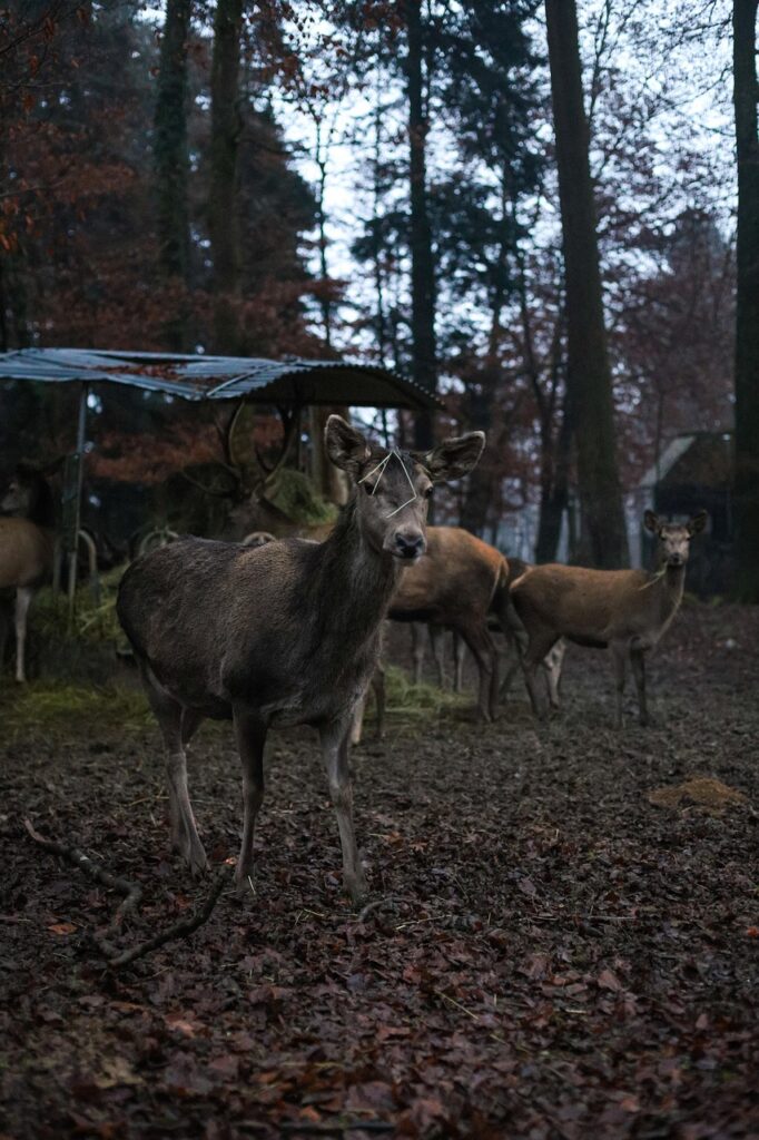不倫をしているけど大切にされたいと感じるのは無理なの？