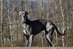 不倫関係で彼に振り回される時の対処法は？