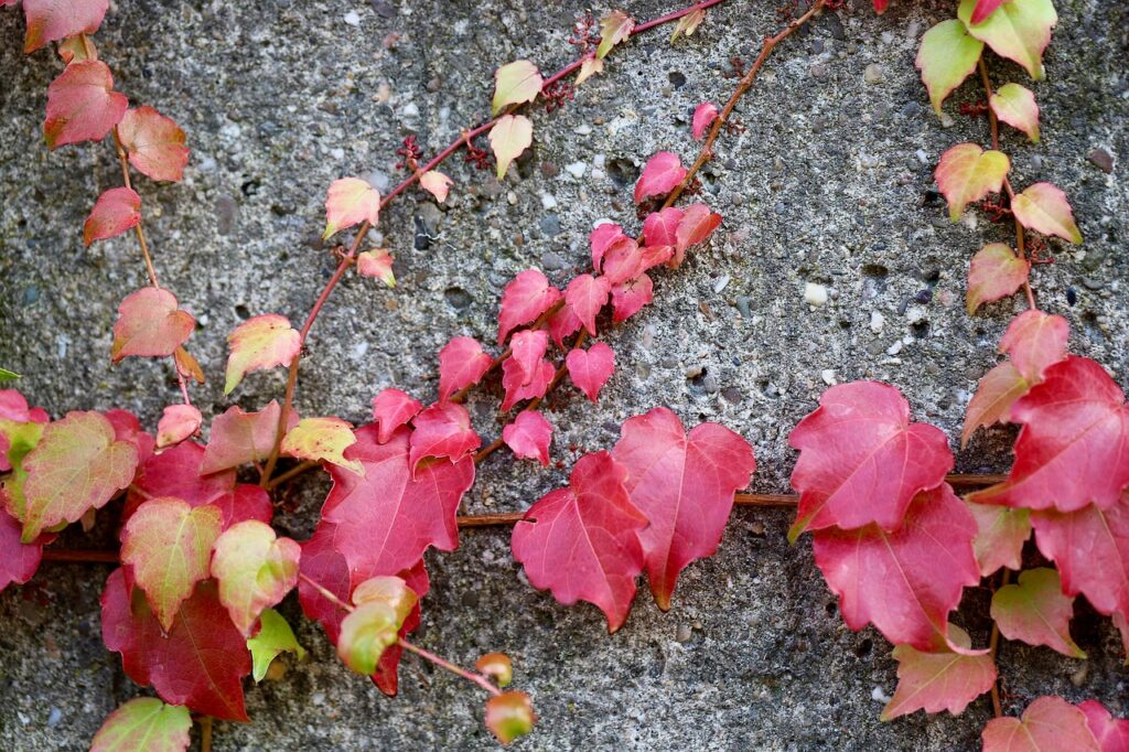 不倫におけるセルフラブはなぜ必要なのか？